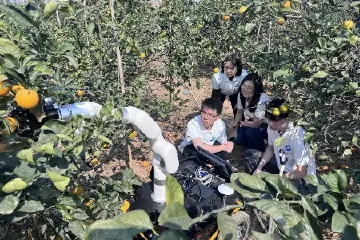 用AI机器人采摘水果！中山职院以科技力量赋能“百千万工程”