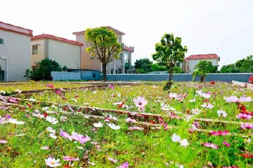 幸福就在“家门口”，中山民众街道2024年建成140个“四小园”