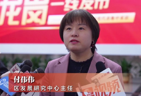 龙岗区发展研究中心主任付伟伟：聚焦重点工作任务，助力“四有一无”加快落地见效