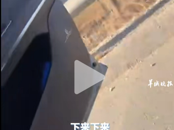 19岁女孩称被网约车司机高速路上拖拽下车，平台回应