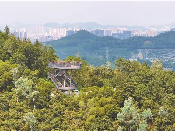大运AI小镇绿道预计春节开放