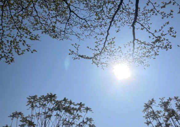 温度记 | 广东将下雪！深圳除夕最低温<10℃
