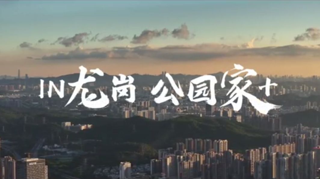 回眸2024，龙岗城区建设更具品质更有意思