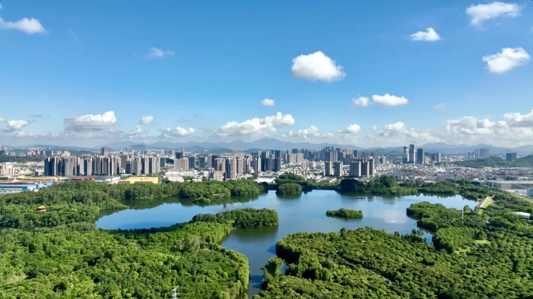向“高”求“质”的坪山③ | 创新党建激活要素，为中国式现代化“强基赋能”
