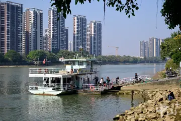 中山东凤镇：党群同心，共建美丽家园｜党建引领“百千万工程”百日攻坚
