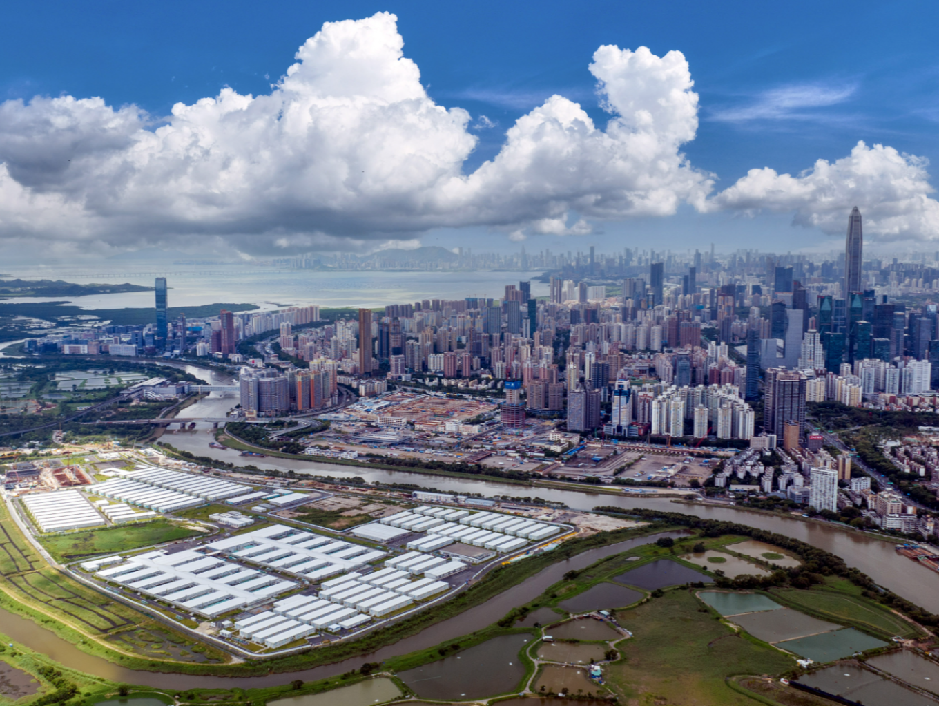 深圳企业家眼中的2024中国经济热词  内生动力澎湃 发展前景看好