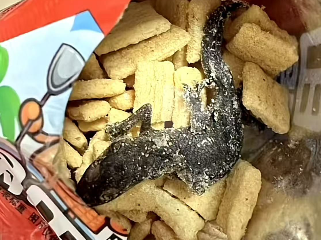 锅巴里惊现“油炸壁虎”？厂家：绝对不会！｜有料