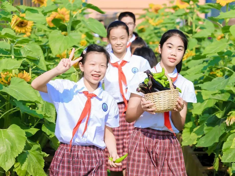 2024深圳教育十件大事揭晓！哪件让你印象深刻？
