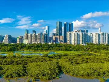 深圳冬曲 | 人文天地·南海潮