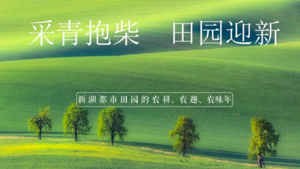 采青抱“财”、野趣露营、篝火晚会……春节，来光明过个农味年！
