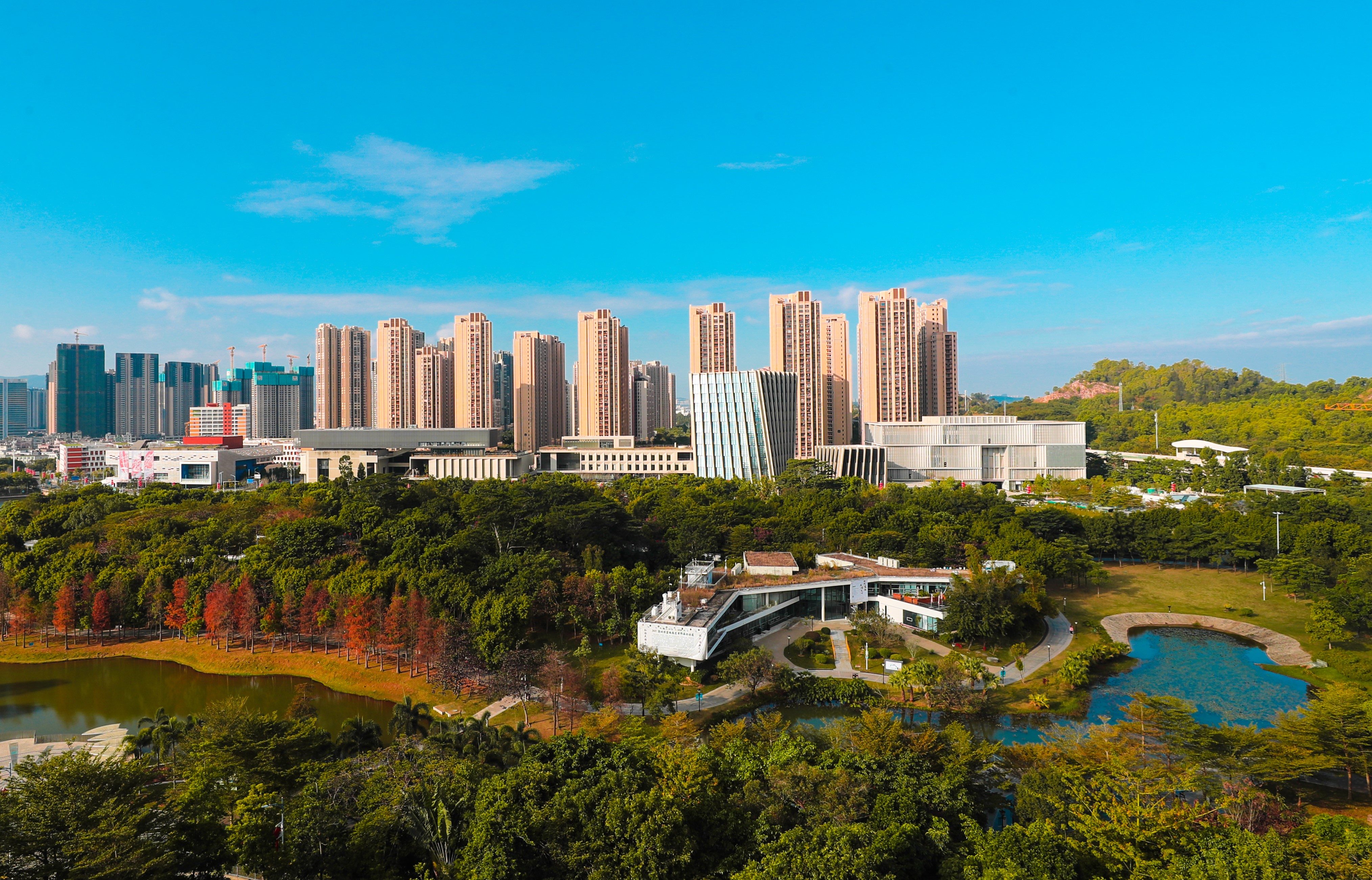 看坪山2024经济答卷：多项指标增速领跑，高质量发展正当时