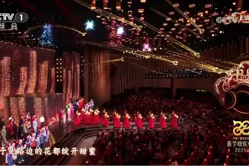 科技与艺术共铸非凡盛典：深圳企业洲明科技闪耀2025央视春晚