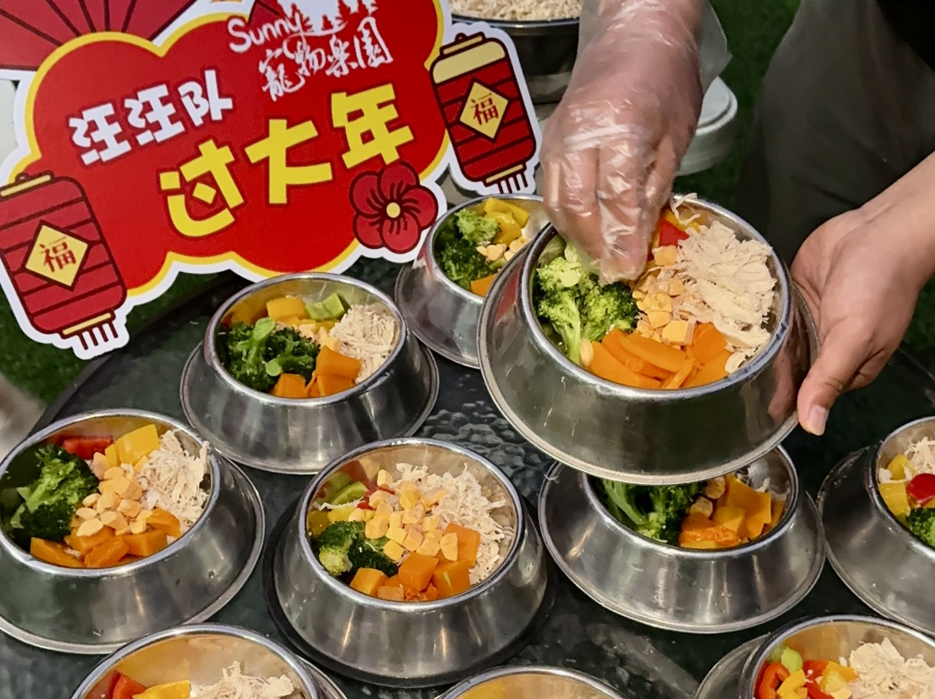 贴春联、穿新衣、吃年夜饭，深圳宠物过年超会 “整活”！