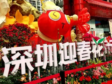南国春早花市闹