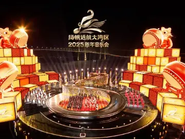 宝安爱乐乐团新年首日闪耀央视舞台