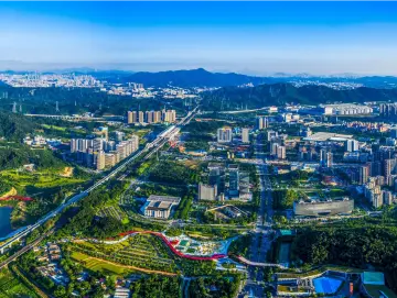晶报特别报道｜一城三区！光明的进和跃