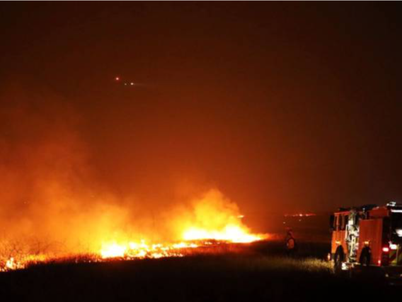 洛杉矶又爆发一起山火，逾3.1万人紧急撤离