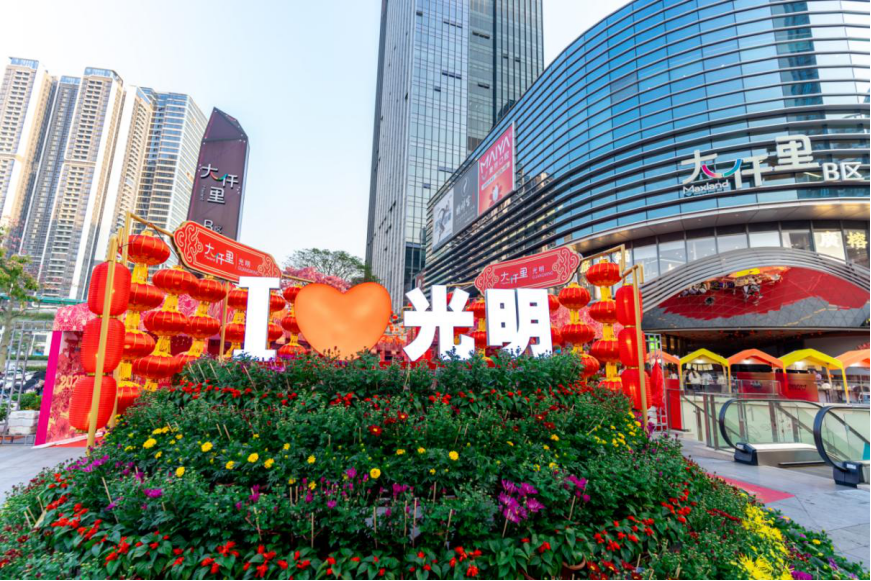 为期7天！光明区迎春花市来了……