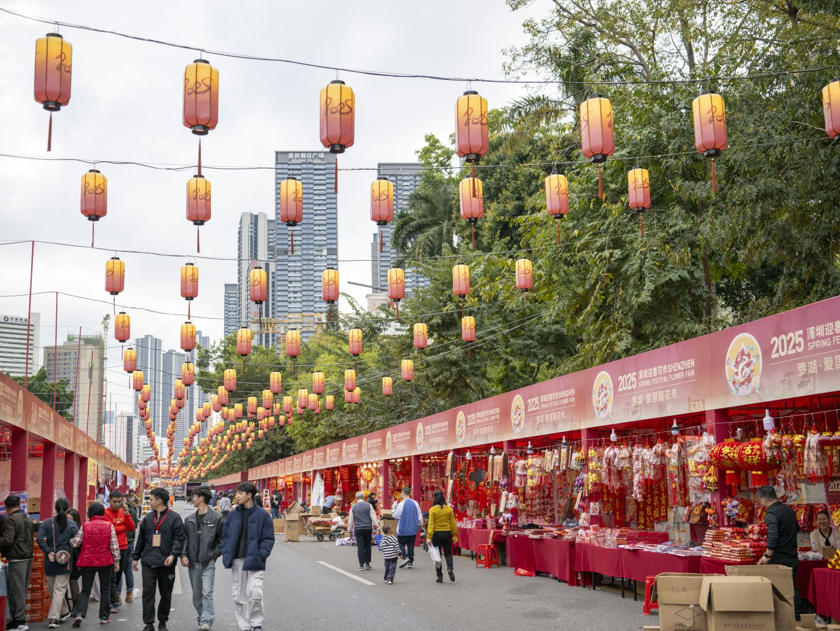 2025深圳迎春花市开市，7天开设4000个档位