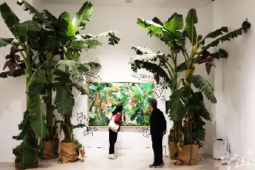 植物与艺术作品奇妙碰撞！中山这场展览有新意→