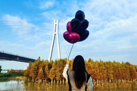 快去打卡！中山这个落羽杉集市又来了