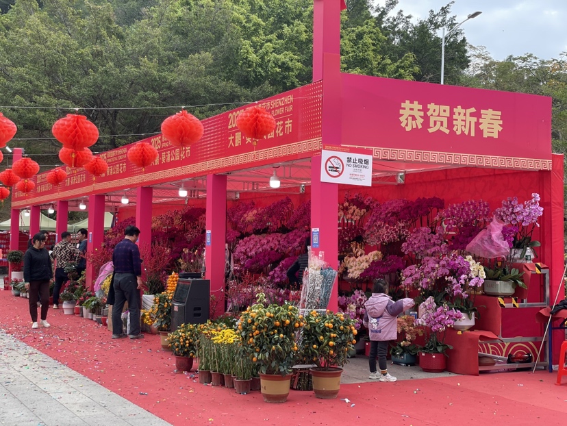葵涌迎春花市盛大开启，新春盛宴等你来！