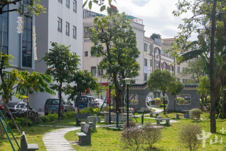 中山：党建引领聚合力，自己家园自己美｜党建引领“百千万工程”百日攻坚
