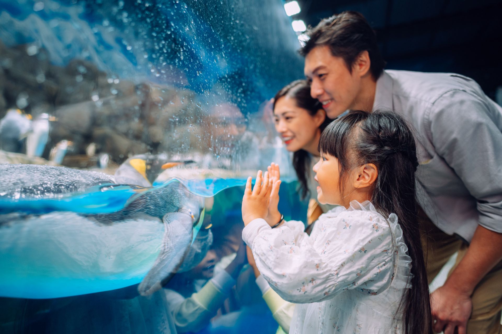 香港海洋公园推出全新研学系列课程，夯实研学游标杆地位
