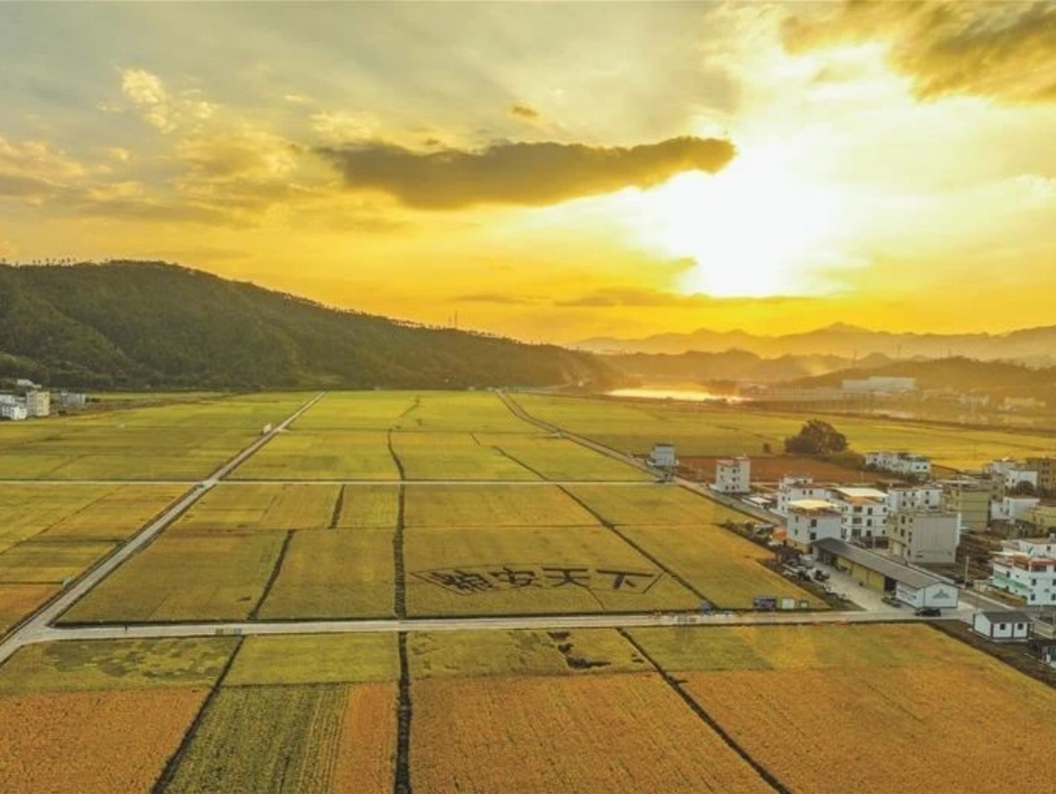 2024年深圳乡村振兴和协作交流十件大事