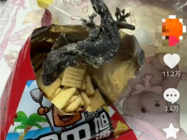 网友称零食中吃出整只油炸壁虎！厂家：已报警