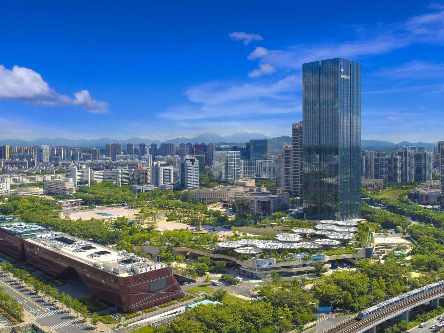 深圳全方位深层次打造高水平营商环境，2024年新增经营主体56万户