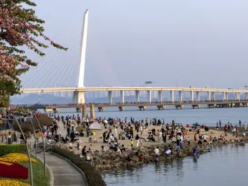 对标“世界领先海事之都”指标体系 建设国际海事仲裁中心｜理论周刊