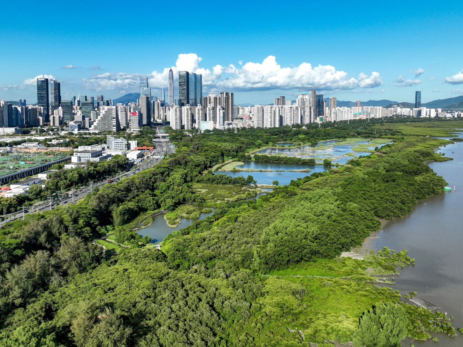 2024年深圳金融十件大事：以科技金融为引领 为经济高质量发展提供资金“活水”
