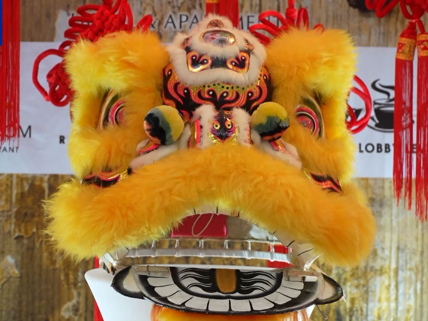 节日氛围浓厚 多国举办新春庆祝活动