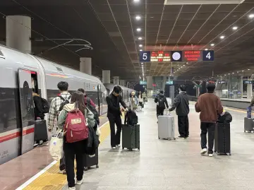 2025年春运出行规模或将创历史纪录
