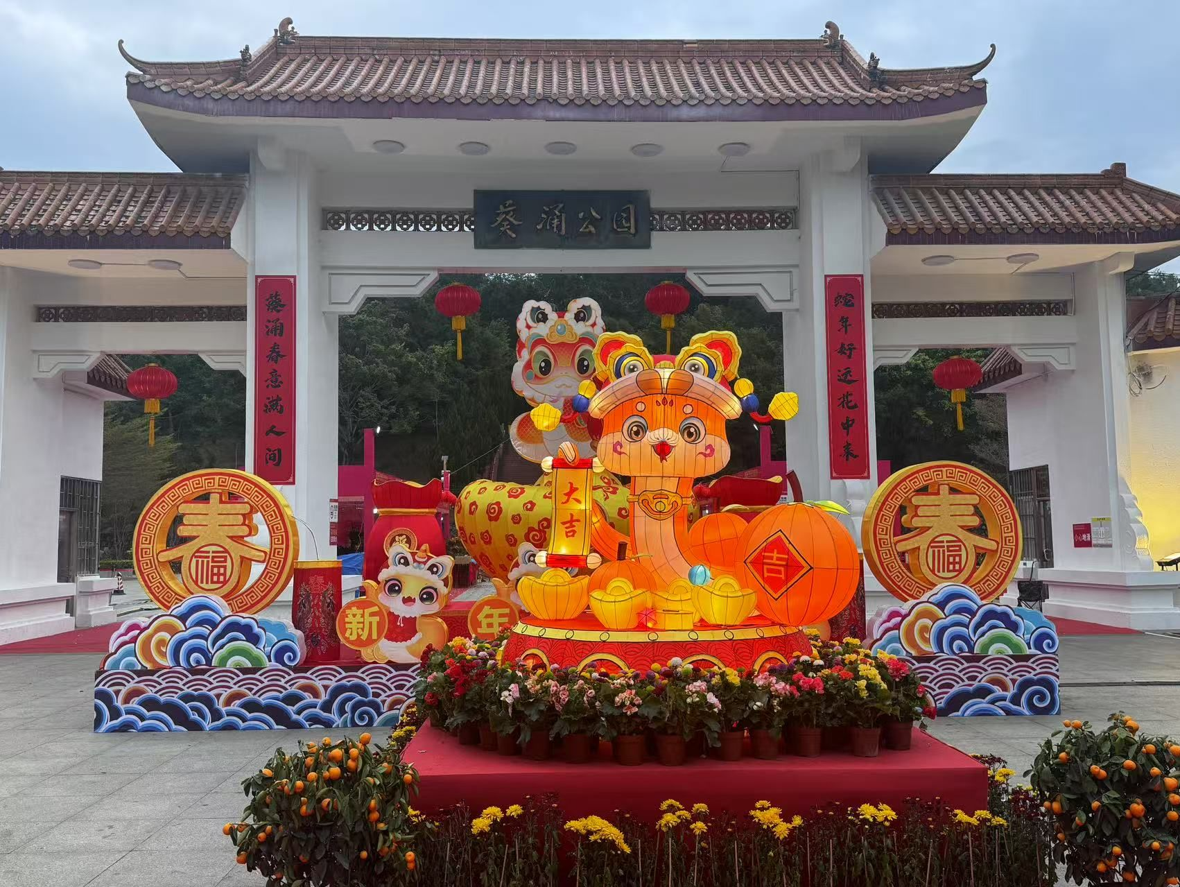 行花街，转大运！大鹏新区迎春花市开市啦！