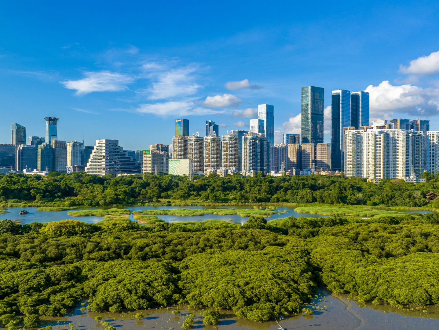 2024年深圳规划和自然资源、海洋发展十件大事：山海绘宏图 扬帆向“深”蓝