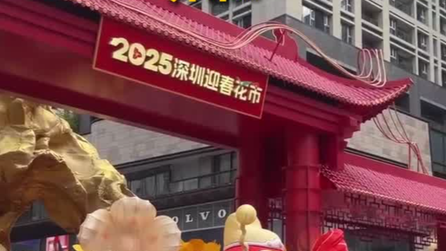 行花街，迎新年！2025深圳迎春花市开市啦