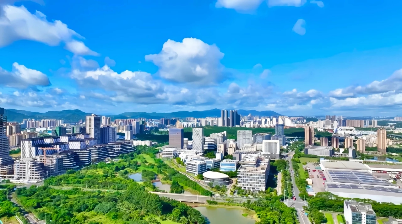同比增长9%！坪山2024年GDP公布