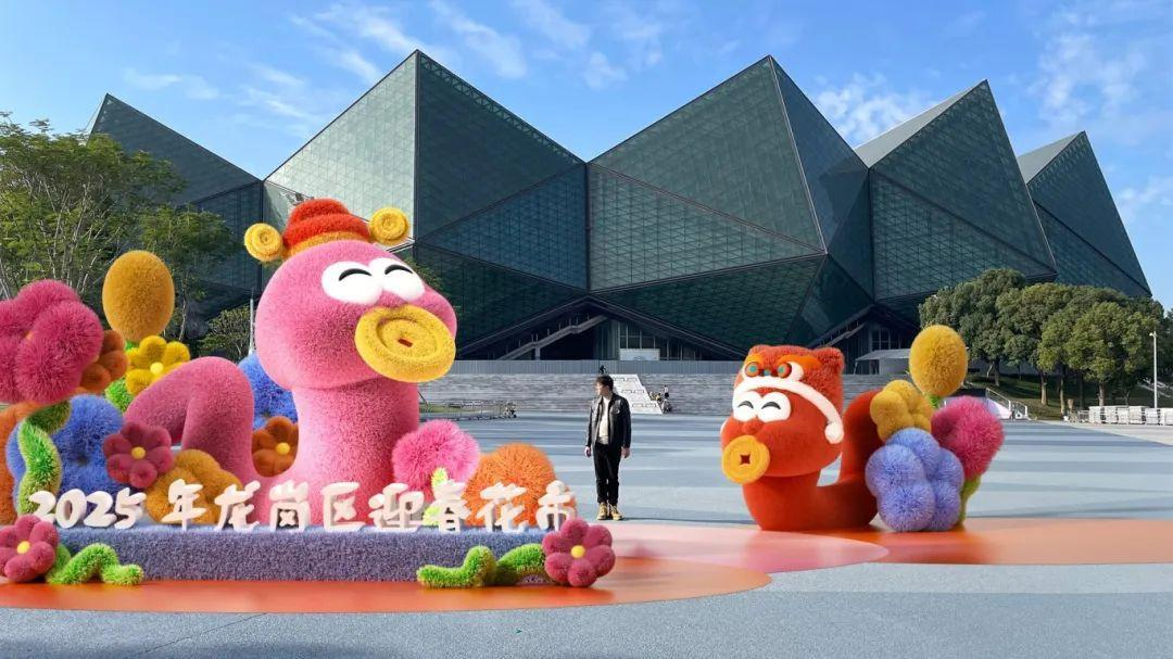 精彩多多！龙岗区迎春花市主会场将在大运中心热闹开市