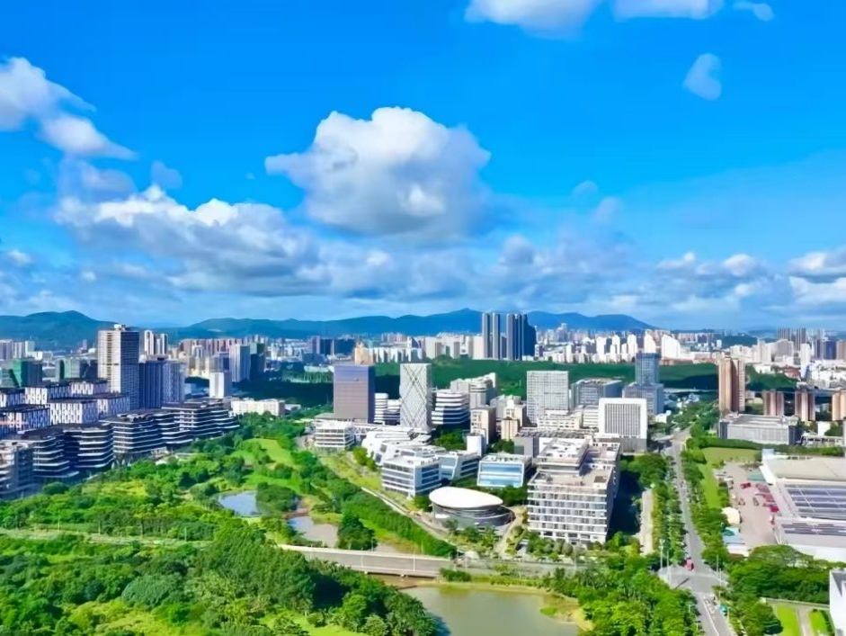 向“高”求“质”的坪山②丨提速落实“百千万工程”，锻造更强向“新”力