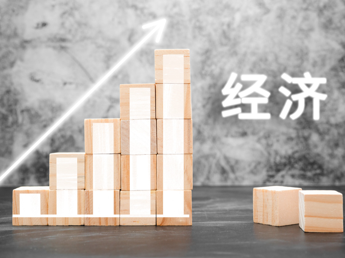 经济学家谈2024中国经济热词 