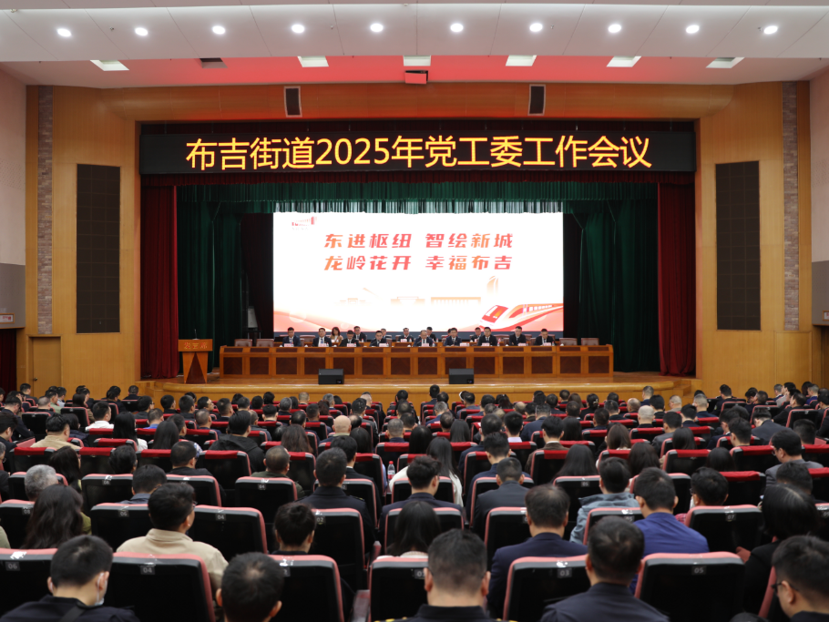 全速启航“二次创业”！2025年布吉怎么干？这里有答案
