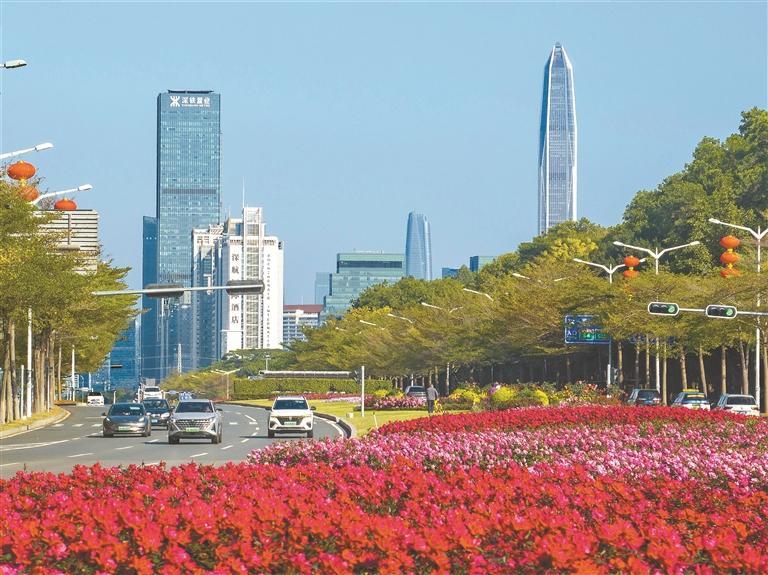 200多条路段悬挂国旗灯笼，绿化带花团锦簇！鹏城处处洋溢新春喜庆氛围
