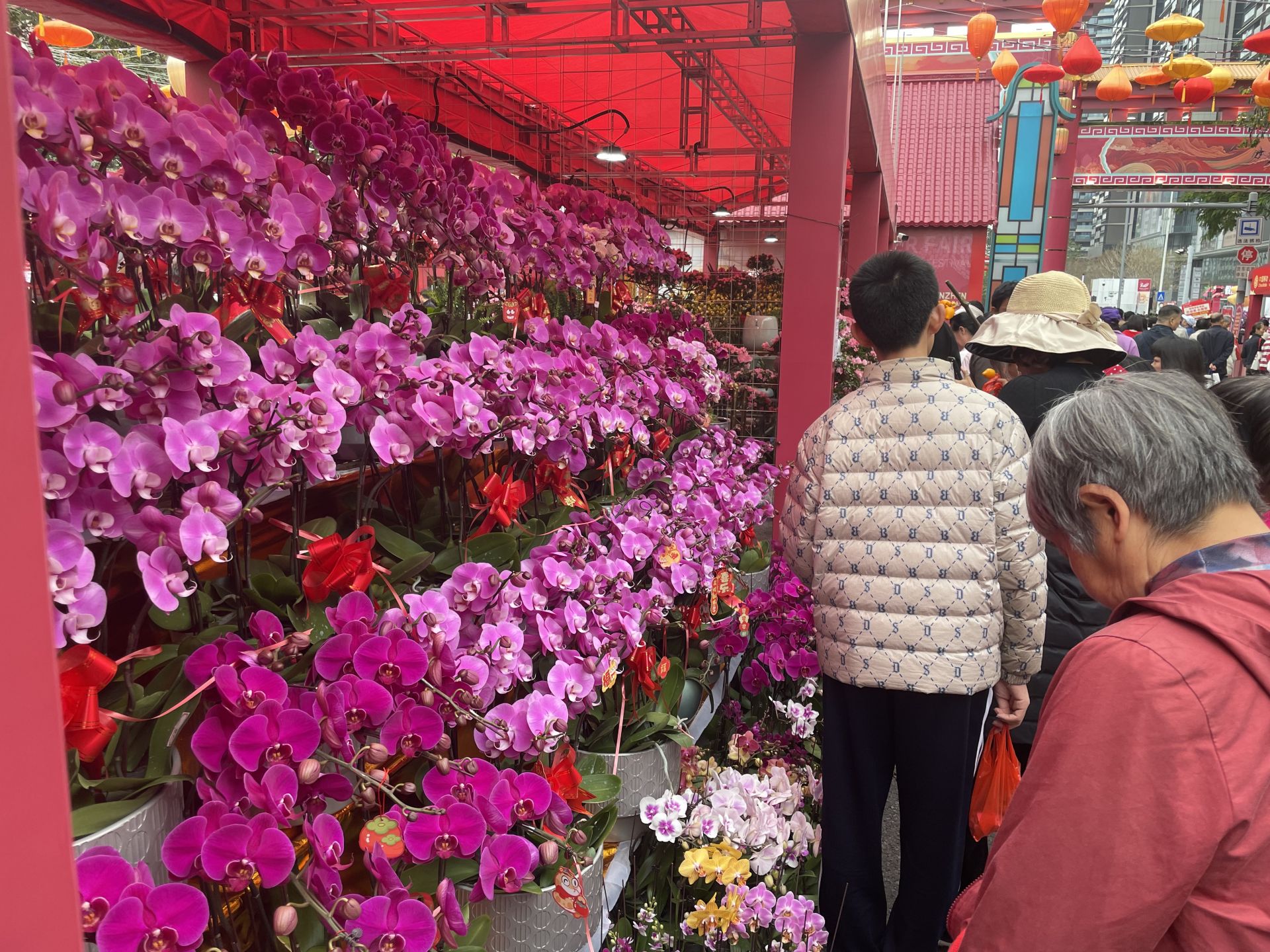 销售单品种花卉成主流,今年花市旺丁更旺财