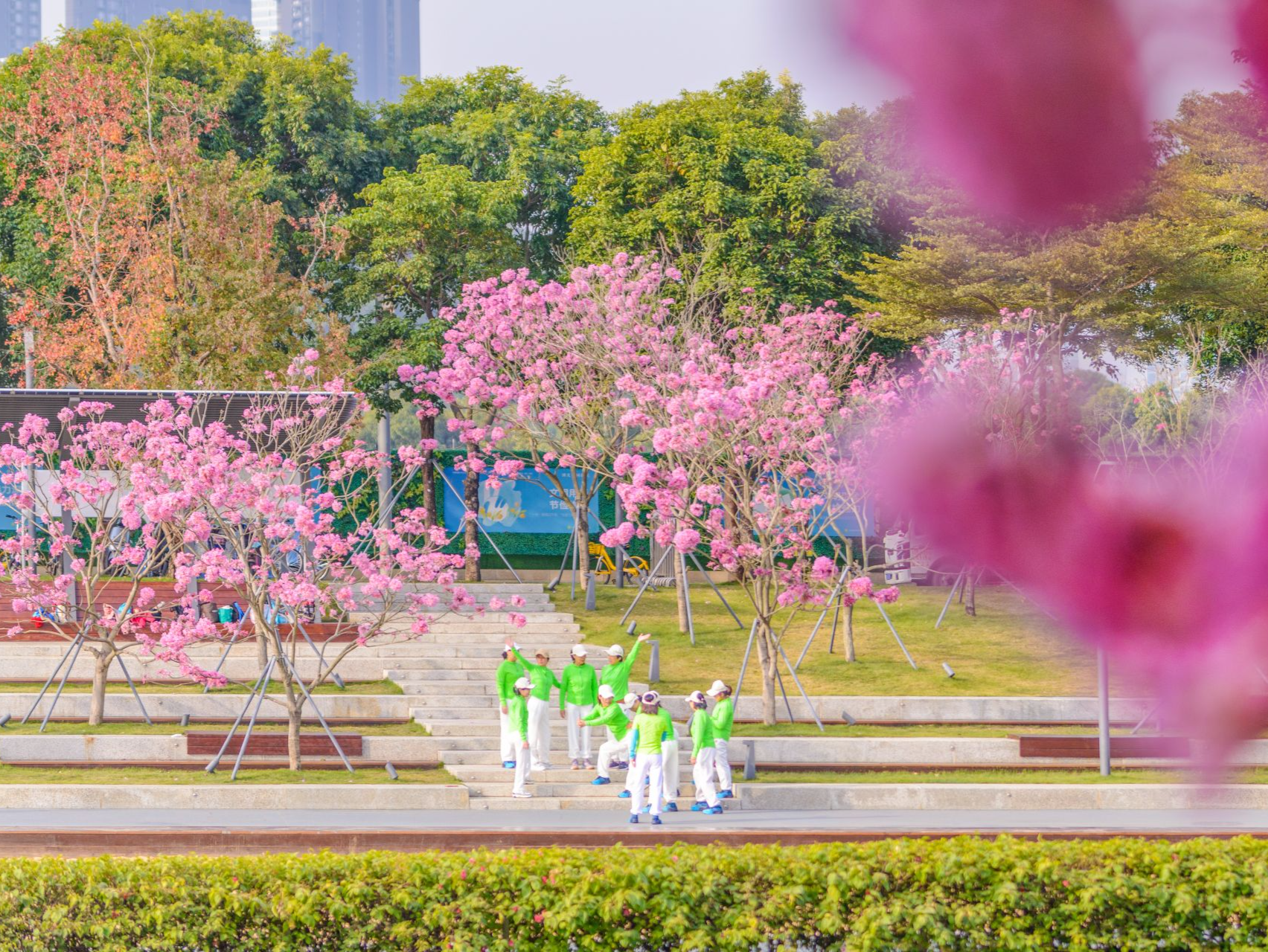 2024年深圳城市管理十件大事：以高品质城市环境托起幸福生活