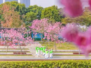 2024年深圳城市管理十件大事：以高品质城市环境托起幸福生活