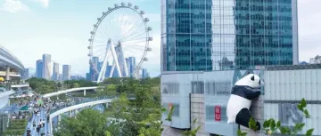 深圳⇋成都，1月6日见！