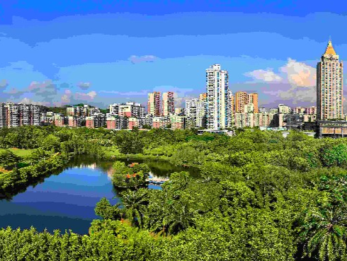 晶报特别报道 | 发展绿色新质生产力 龙岗做对了什么