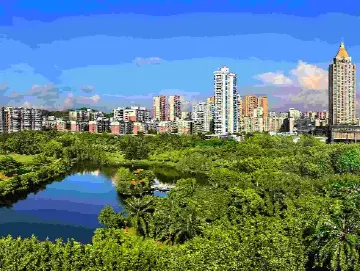 晶报特别报道 | 发展绿色新质生产力 龙岗做对了什么